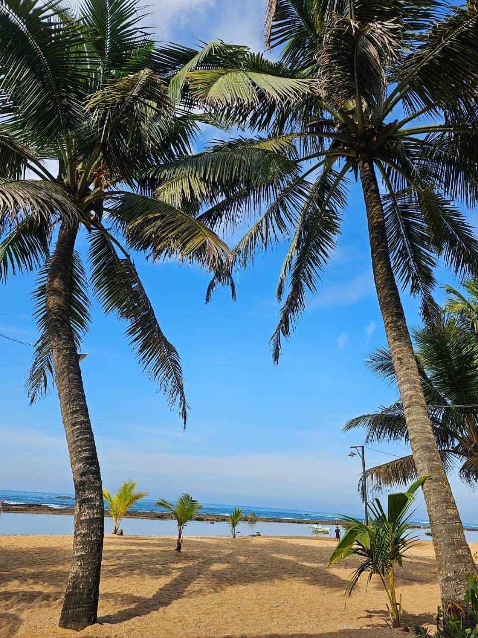 Paradise Bay Beruwala Eksteriør bilde